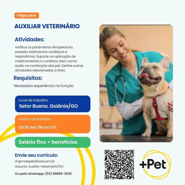 AUXILIAR VETERINARIO

Atividades:

Verifica os parametros temperatura,
pressdo, batimentos cardiacos e
respiratérios. Suporte na aplicagdo de
medicamentos e curativos, bem como
auxlio na contengGo dos pet. Dentre outras
atividades relacionadas a Grea.

Requisitos:

Necessdrio experiéncia na fungdo.

Local de trabalho:
Setor Bueno. Goiania/GO

Horario de trabalho:

12X36 das 19h Gs 07h

1d

 

Envie seu curriculo:

th@maispetoficial.com.br
Assunto: Auxiliar Veterinario/GO

Ou pelo whastapp: (62) 99889-2635 AUXILIAR VETERINARIO

Atividades:

Verifica os parametros temperatura,
pressdo, batimentos cardiacos e
respiratorios. Suporte na aplicagdo de
medicamentos e curativos, bem como
auxlio na contengdo dos pet. Dentre outras
atividades relacionadas a Grea,

Requisitos:

Necessario experiéncia na fungdo.

Local de trabalho:
Setor Bueno. Goidnia/GO

Hordrio de trabalho:
12X36 das 19h Gs 07h

by] Tg

 

Envie seu curriculo:

th@maispetoficial.com.br
Assunto: Auxiliar Veterinario/GO

Ou pel...