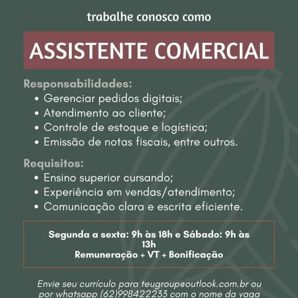 trabalhe conosco como

Ahi Uae aN e

A

sabilia
¢ Gerenciar pedidos digitais;

e Atendimento ao cliente;

e Controle de estoque e logistica;

e Emissdo de notas fiscais, entre outros.

   

   

Requisitos:
e Ensino superior cursando;
e Experiéncia em vendas/atendimento;

* Comunicagao clara e escrita eficiente.

TYe ite (o Moe are He une MLM Mlle CoCo Me aie Ly
13h

Remuneracg@o + VT + Bonificagao

Envie seu curriculo para teugroupeoutlook.com.br ou
por whatsanp (62)998422243 com o nome da vaga trabalhe conosco como

ASSISTENTE COMERCIAL

Responsabilidades:
° Gerenciar pedidos digitais;
e Atendimento ao cliente;
e Controle de estoque e logistica;
e Emissdo de notas fiscais, entre outros.

Requisitos:
e Ensino superior cursando;
e Experiéncia em vendas/atendimento;
* Comunicagao clara e escrita eficiente.

YoYo te CoMe Moar Hedi M LR Mtel Lolo dame ry
13h

Remuneraga@o + VT + Bonificagao

Envie seu curriculo para teugroupeoutlook.com.br ou
por whatsapp (62)9984222435 com o nome da v...