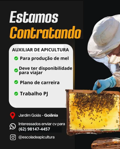 AUXILIAR DE APICULTURA

@ Para produgcao de mel

@ Deve ter disponibilidade
para viajar

@ Plano de carreira

@ Trabalho PJ

   

Jardim Goias - Goiania

© Interessados enviar cv para
(62) 98147-4457

@escoladeapicultura <= Estamos
IT RUT

AUXILIAR DE APICULTURA

 
   
    

©@ Para produgao de mel

® Deve ter disponibilidade
para viajar

© Plano de carreira

® Trabalho P)J

Jardim Goias - Goiania

© Interessados enviar cv para
(62) 98147-4457

@escoladeapicultura AUXILIAR DE APICULTURA

@ Para producao de mel

@ Deve ter disponibilidade
para viajar

@ Plano de carreira

@ Trabalho PJ

   

Jardim Goias - Goiania

© Interessados enviar cv para
(62) 98147-4457

@escoladeapicultura = Estamos
IT RUT

AUXILIAR DE APICULTURA

    
   
 

© Para produgao de mel

@ Deve ter disponibilidade
para viajar

© Plano de carreira

©® Trabalho PJ

Jardim Goias - Goiania

© Interessados enviar cv para
(62) 98147-4457

@escoladeapicultura AUXILIAR DE APICULTURA

@ Para producdo de mel

@ Deve ter dis...