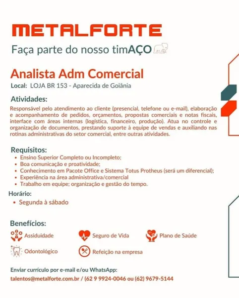 mMmETALFORTE

Faca parte do nosso timACO !:.«

Analista Adm Comercial
Local: LOJA BR 153 - Aparecida de Goiania

Atividades:

Responsavel pelo atendimento ao cliente (presencial, telefone ou e-mail), elaboragao
e acompanhamento de pedidos, orcamentos, propostas comerciais e notas fiscais,
interface com areas internas (logistica, financeiro, producado). Atua no controle e
organizagao de documentos, prestando suporte 4 equipe de vendas e auxiliando nas
rotinas administrativas do setor comercial, entre outras atividades.

Requisitos:
« Ensino Superior Completo ou Incompleto;
* Boa comunicacao e proatividade;
* Conhecimento em Pacote Office e Sistema Totus Protheus (sera um diferencial);
e Experiéncia na area administrativa/comercial
* Trabalho em equipe; organizacao e gestao do tempo.

Horario:
* Segunda a sdbado

Beneficios:

026 occas @ :

ua 4 Assiduidade @ Seguro de Vida Qe Plano de Satide
= Odontolégico ® Refeicao na empresa

 

Enviar curriculo por e-mail e/ou WhatsApp:
talentos@...